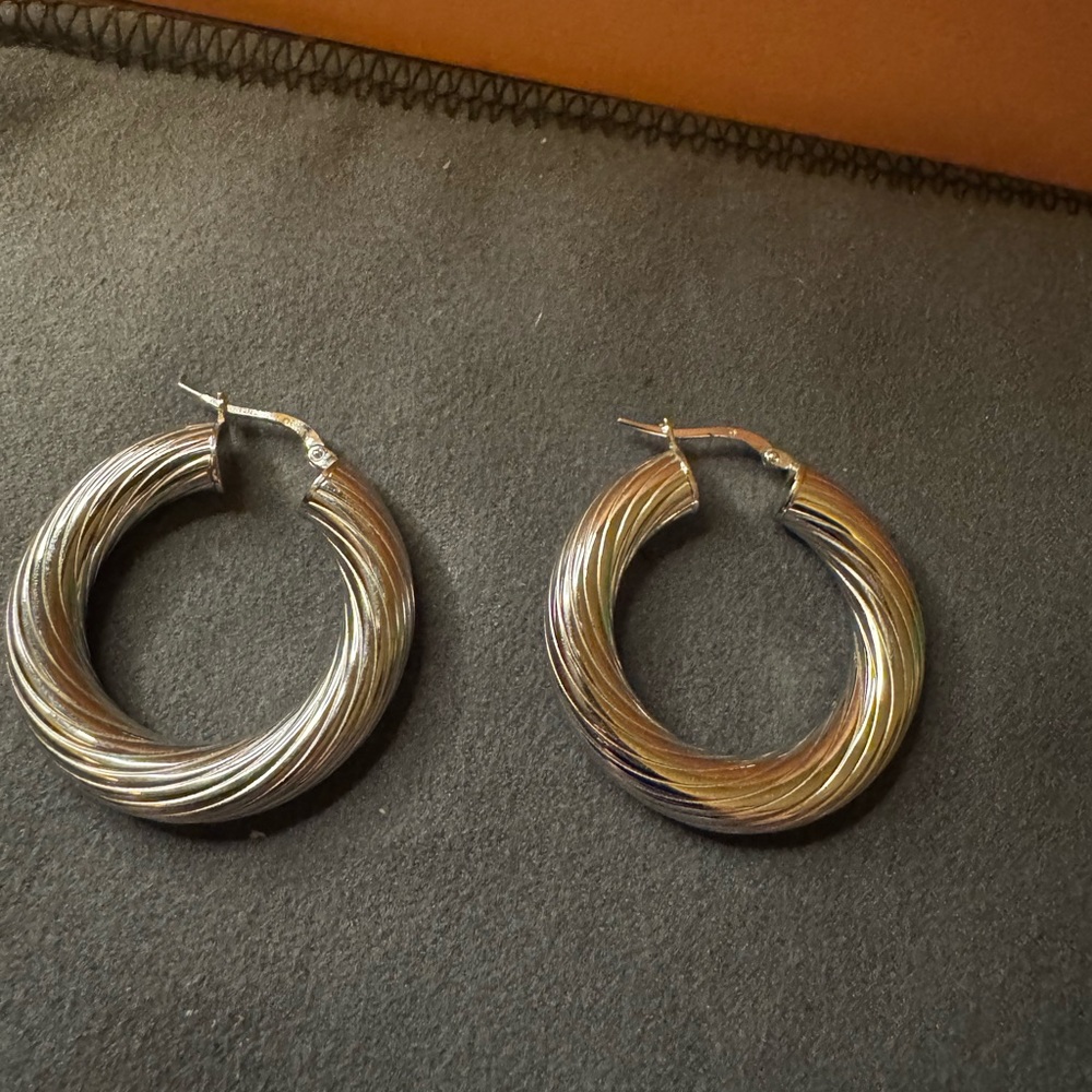 Elegant Silver  twistedHoop Earrings
